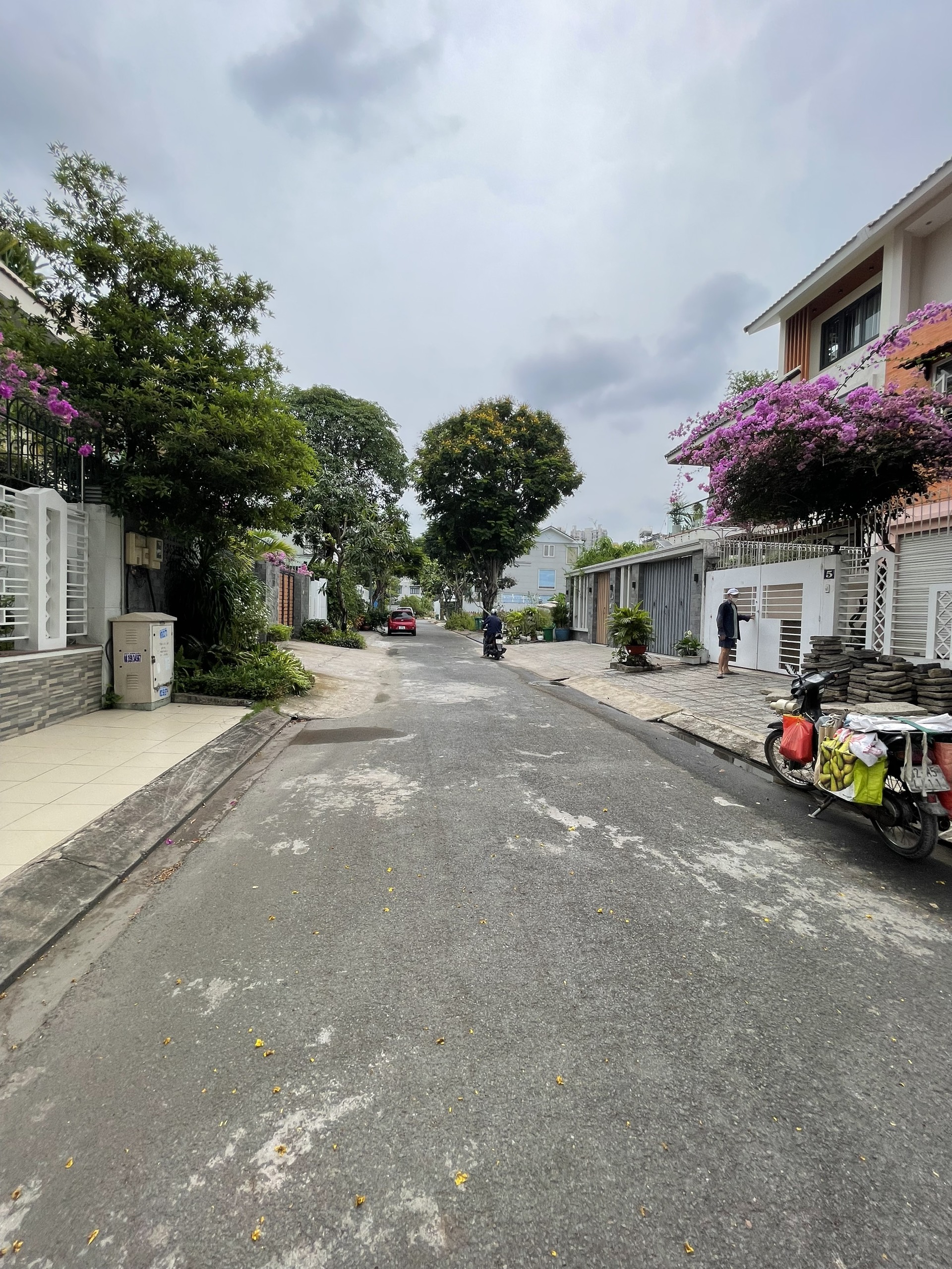 Bán Biệt Thự Đường Số 3 KDC Sadeco Phước Kiển, Nhà Bè.